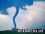 bekorchi.uz